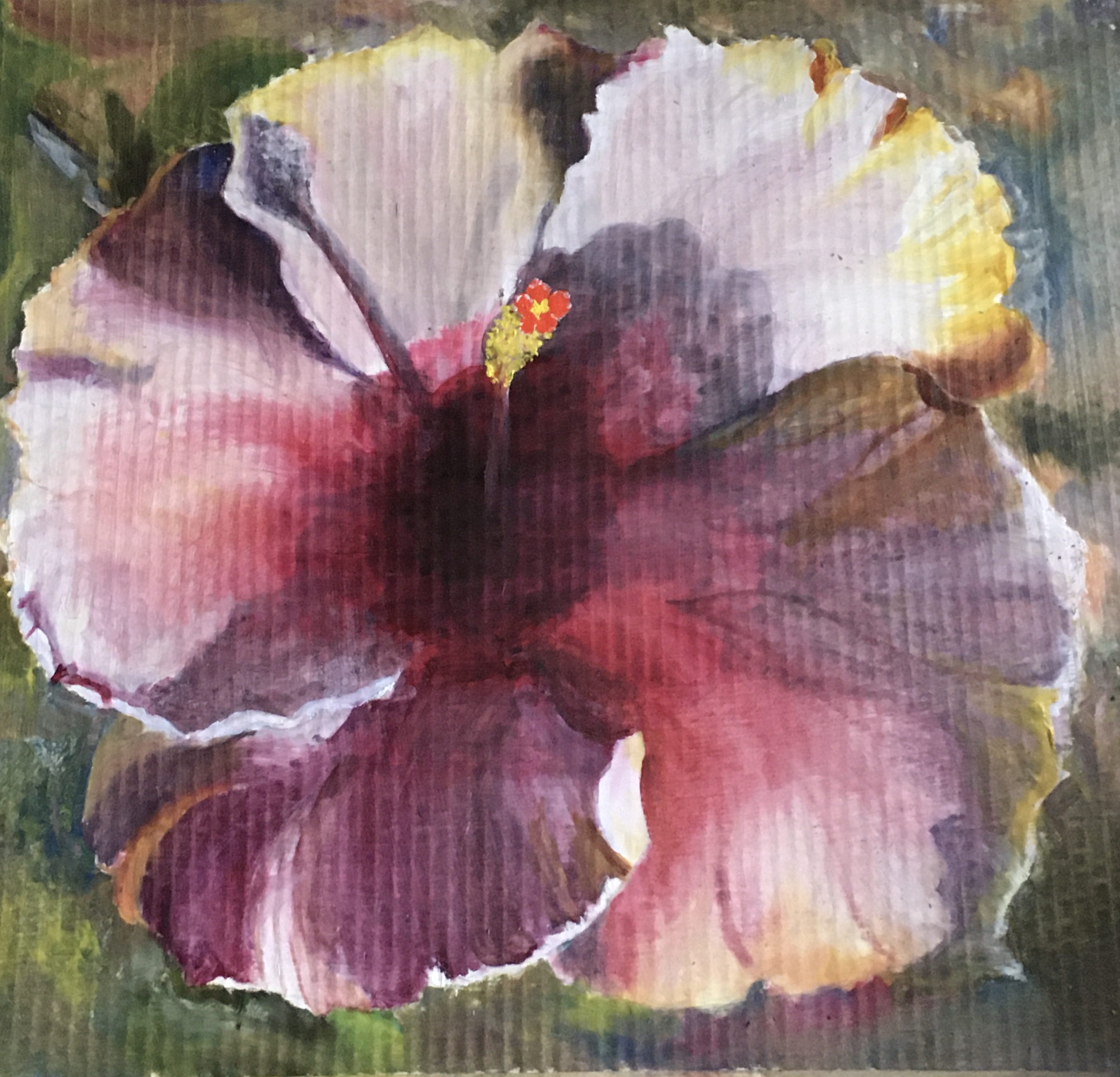 Hibiscus Impermanent